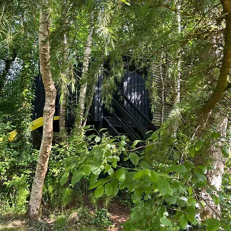 White House Tree View Drumshanbo